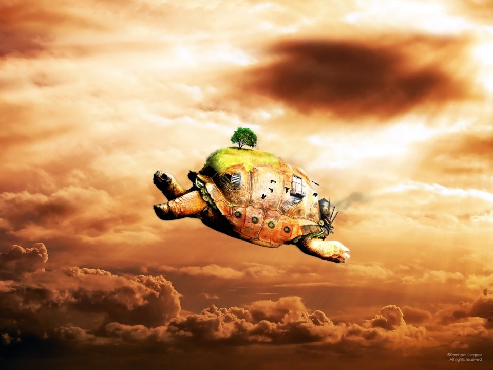 design_art_Turtle
