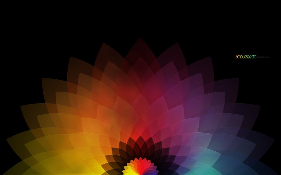 flower_wp_15