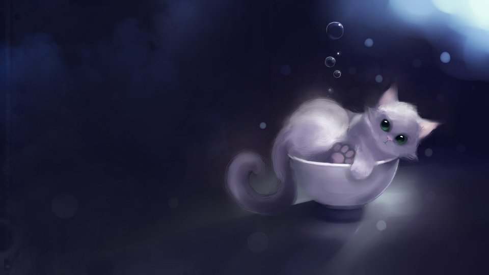 Apofiss Teacup Cat Underwater Art