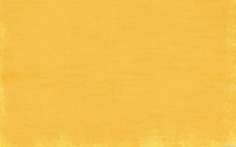 mcato-funinthesun-solid (4)