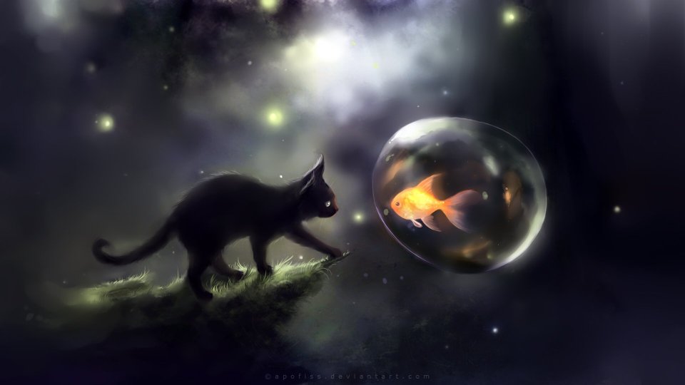 Apofiss Fantasy Illustration Black Cat And Goldfish Bubble