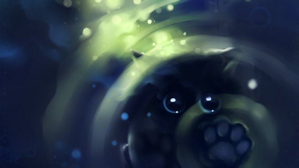 梦幻光影中的猫咪特写艺术插画