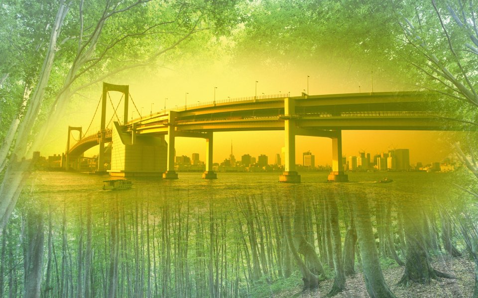 Photo manipulation of 03_deforestation 196_nature_and_city