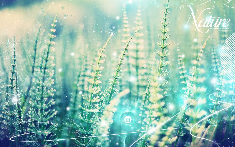 Photo_art_design_Nature