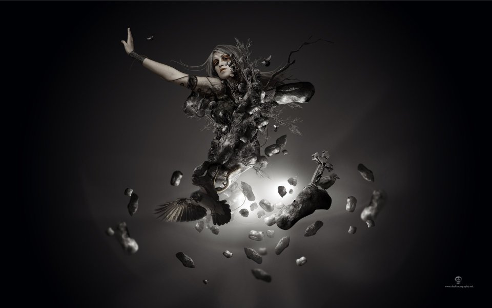 Photo_art_design_Survival_of_the_fittest