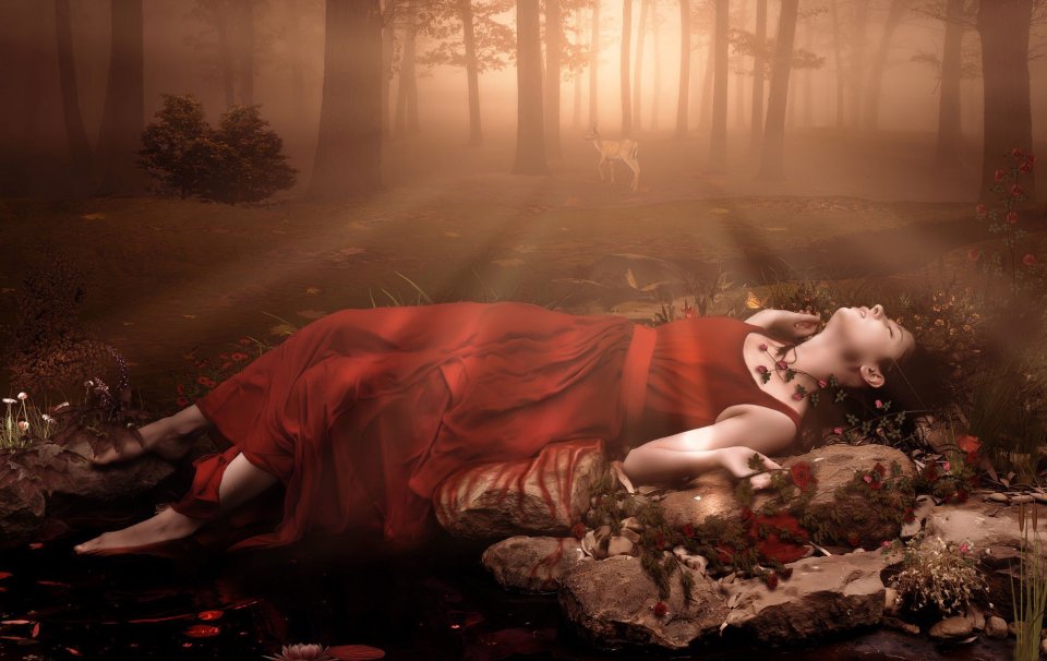 photo_manipulation_Where_The_Wild_Roses_Grow
