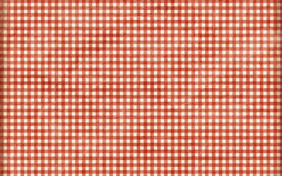 pspring-funinthesun-redgingham