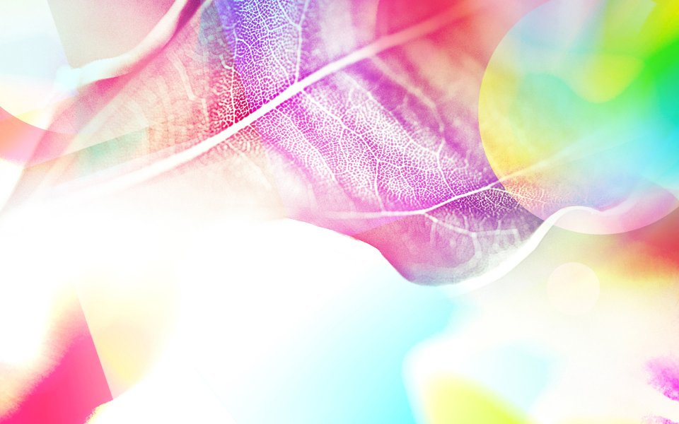 Rainbow_colours_of_sunshine_021