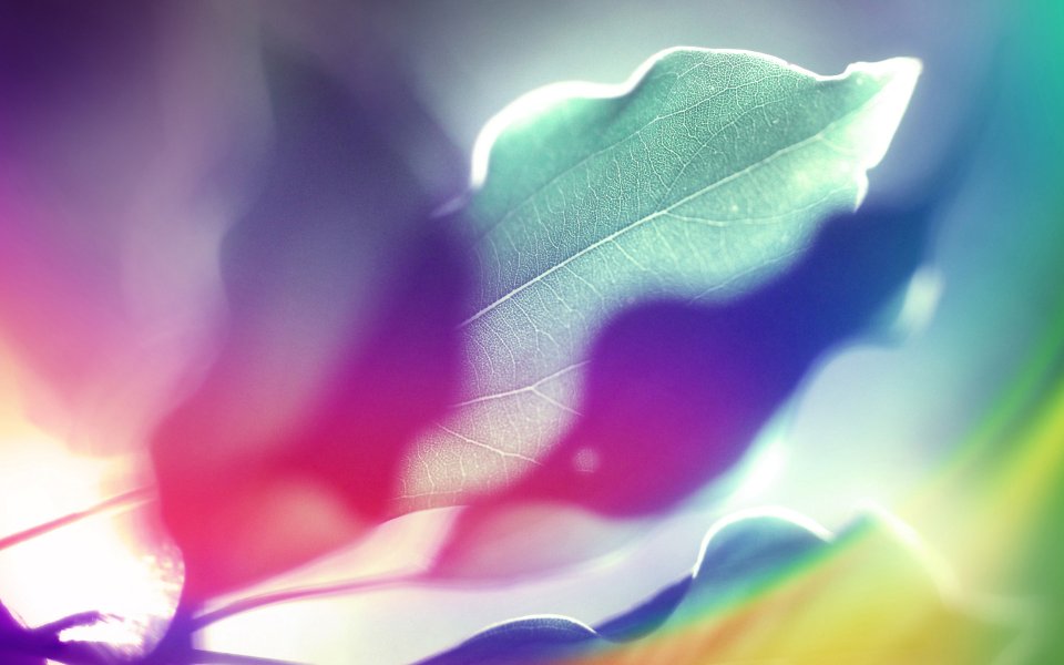 Rainbow_colours_of_sunshine_024