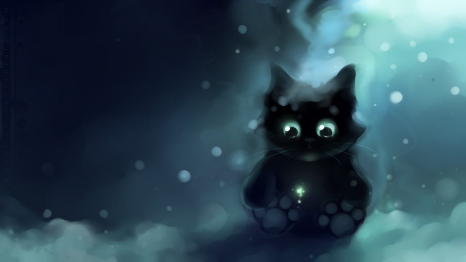 Black Cat In Snow By Apofiss