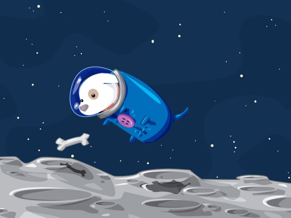 spacedoggy
