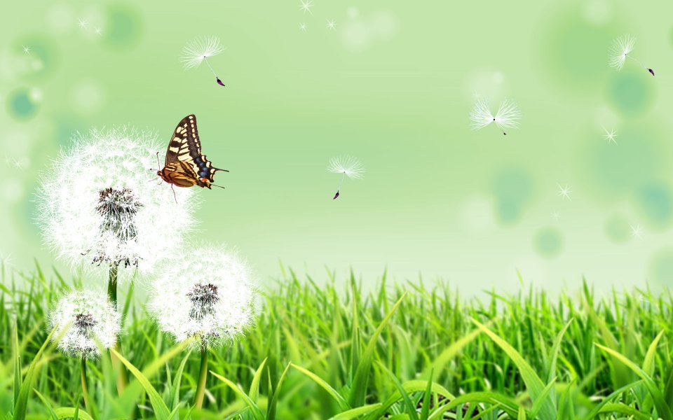 Summer_Fantasy_landscape_by_photo_manipulation_05174255