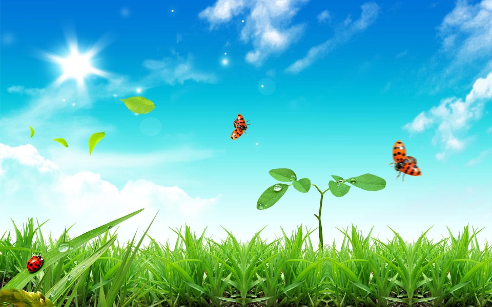 Summer_Fantasy_landscape_by_photo_manipulation_15275265