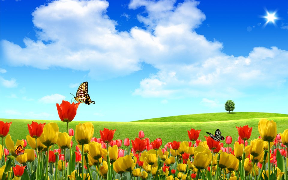 Summer_Fantasy_landscape_by_photo_manipulation_19315669