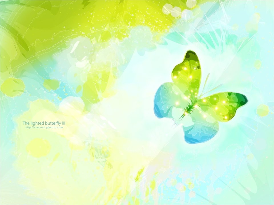 the_lights_butterflies_