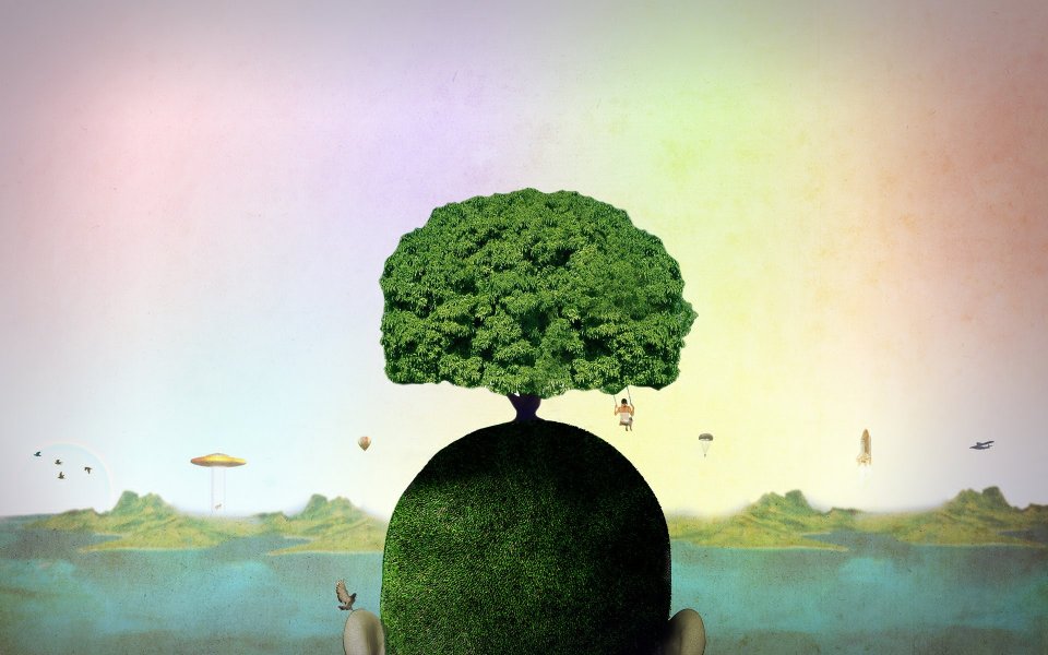 tree_wp_14