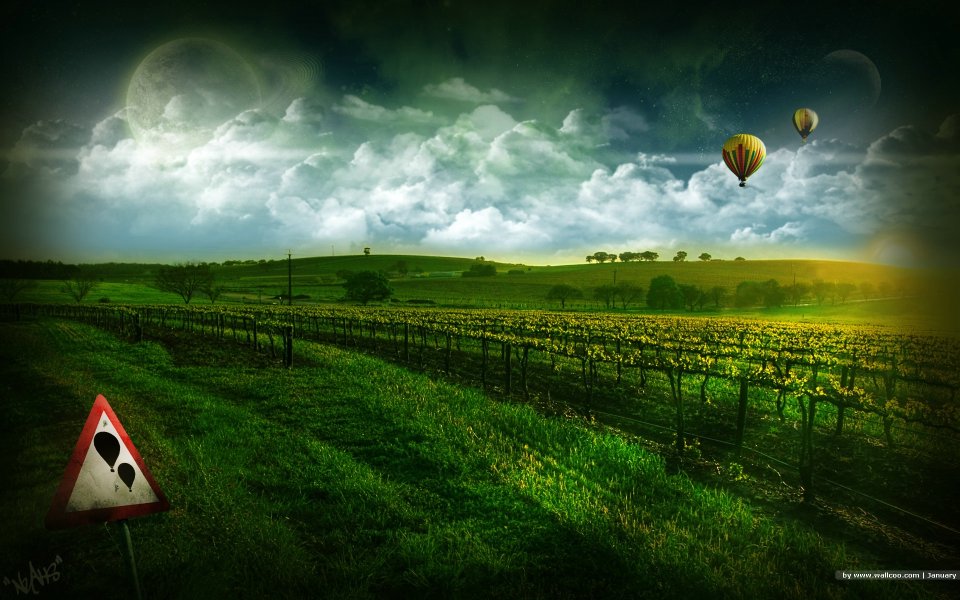 Vineyard_wallcoo.com