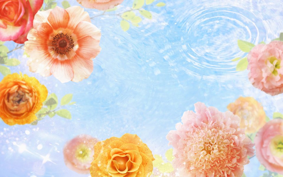 [wallcoo_com]_CG_Widescreen_Flowers_1920_HS001_350Aa