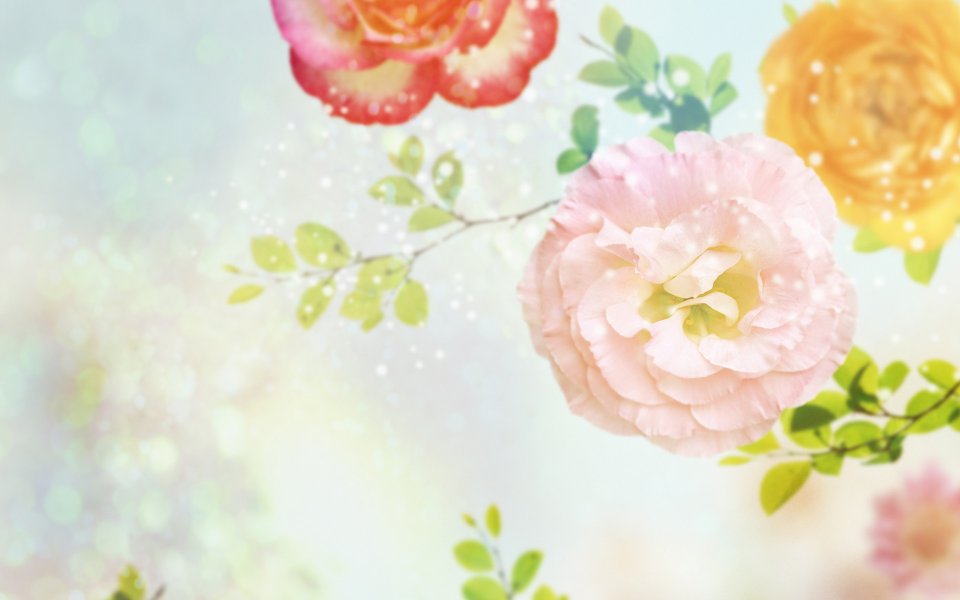 [[wallcoo_com]_CG_Widescreen_Flowers_1920_HS002_350Aaaag
