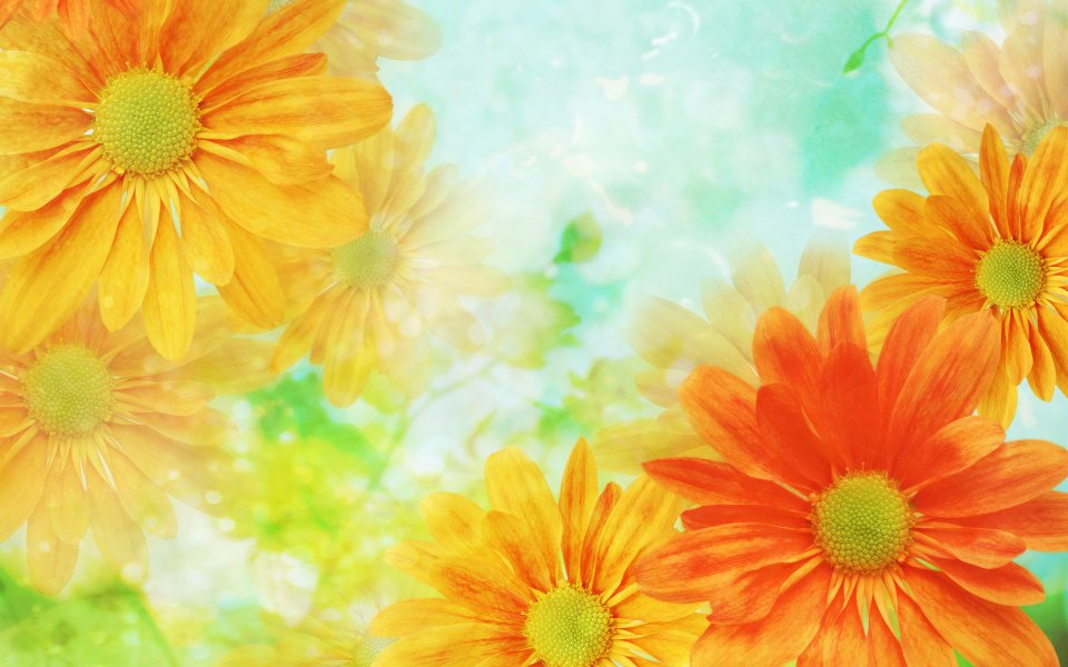 [wallcoo_com]_CG_Widescreen_Flowers_1920_HS004_350Aaa