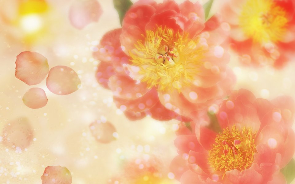 [wallcoo_com]_CG_Widescreen_Flowers_1920_HS008_350aA