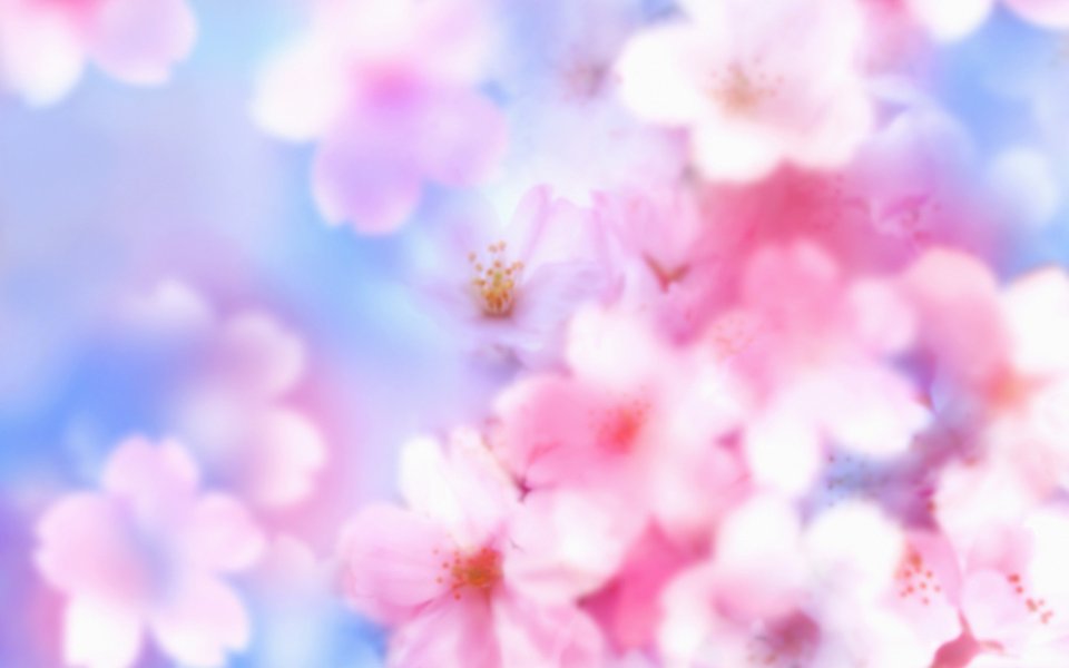 [[wallcoo_com]_CG_Widescreen_Flowers_1920_HS020_350Aa