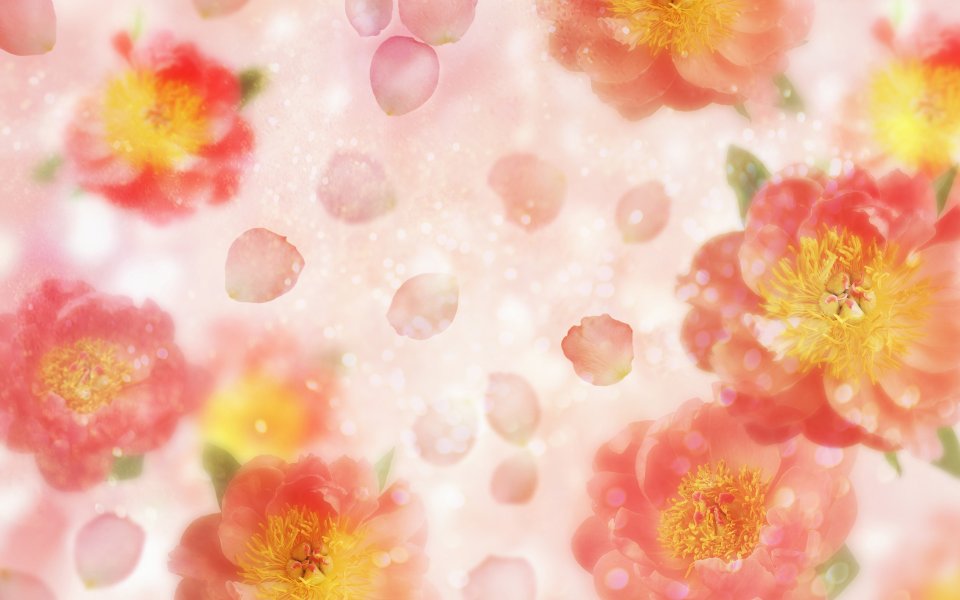 [wallcoo_com]_CG_Widescreen_Flowers_1920_HS045_350Aa