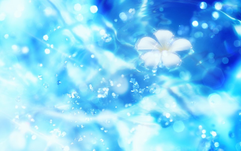 [[wallcoo_com]_CG_Widescreen_Flowers_1920_HS056_350aA