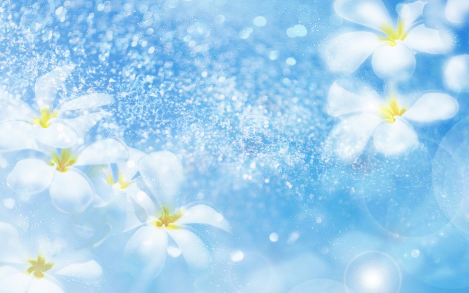 [wallcoo_com]_CG_Widescreen_Flowers_1920_HS057_350Aa