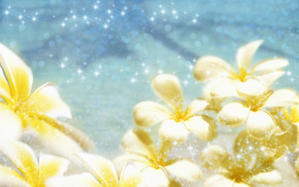 [wallcoo_com]_CG_Widescreen_Flowers_1920_HS058_350Aa