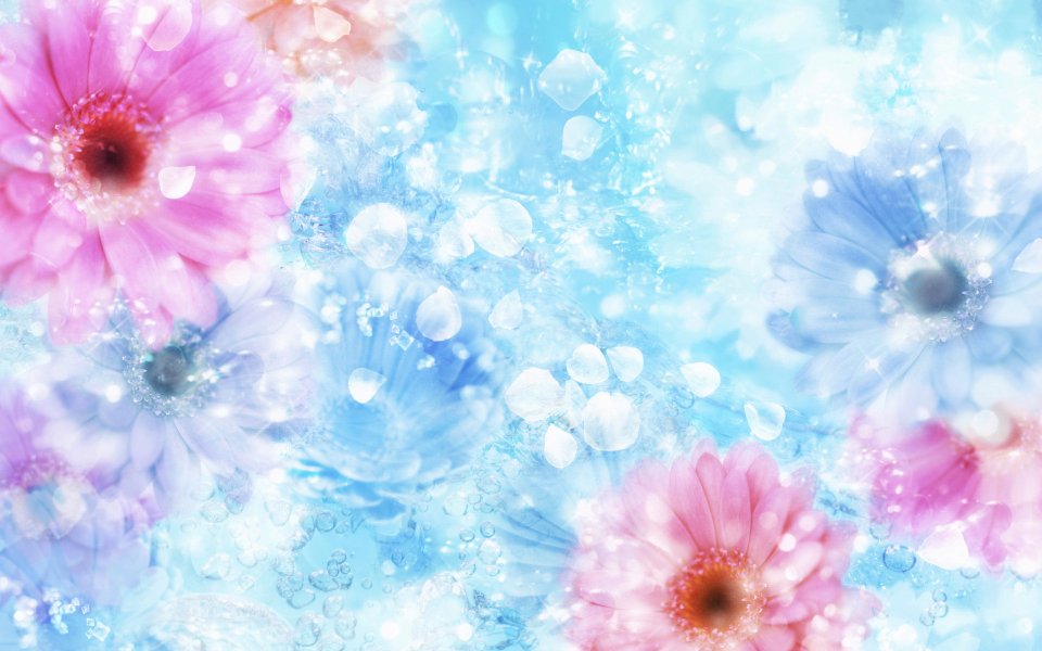 [[wallcoo_com]_CG_Widescreen_Flowers_1920_HS065_350Aa