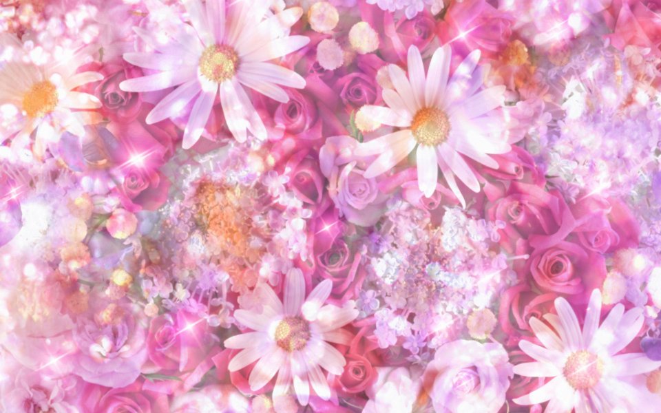 [wallcoo_com]_CG_Widescreen_Flowers_1920_HS067_350aA