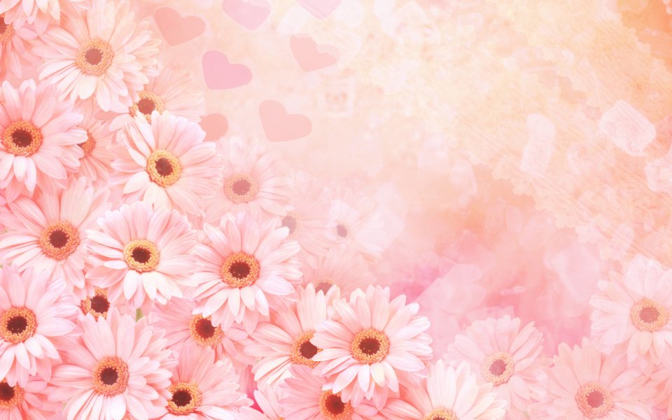 [wallcoo_com]_CG_Widescreen_Flowers_1920_HS068_350aA