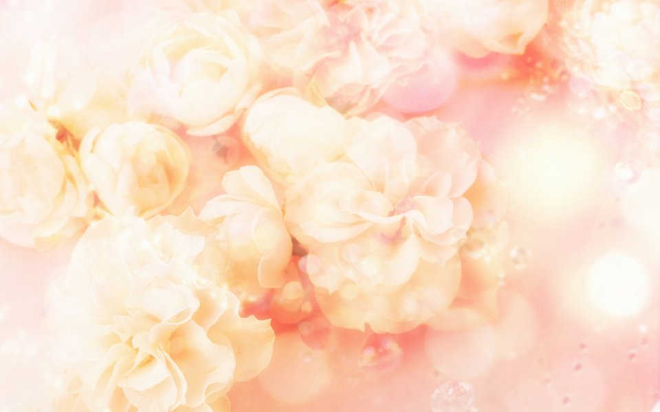 [wallcoo_com]_CG_Widescreen_Flowers_1920_HS070_350Aa