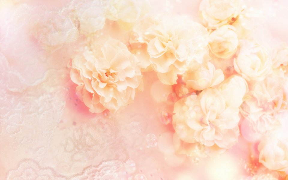 [wallcoo_com]_CG_Widescreen_Flowers_1920_HS070_350Aaaa