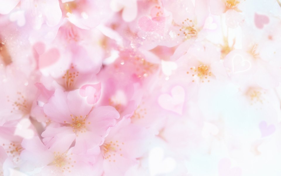 [wallcoo_com]_CG_Widescreen_Flowers_1920_HS072_350aA