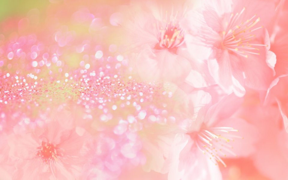 [wallcoo_com]_CG_Widescreen_Flowers_1920_HS074_350Aa