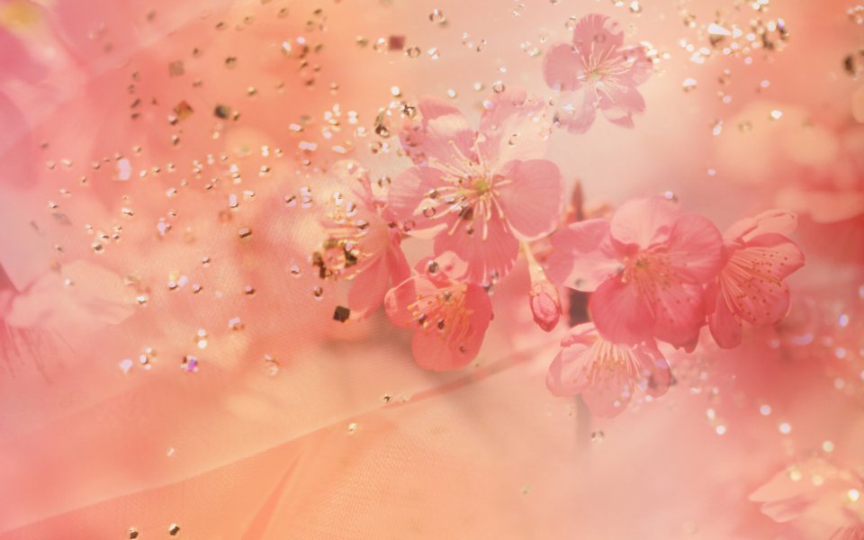 [wallcoo_com]_CG_Widescreen_Flowers_1920_HS075_350Aa