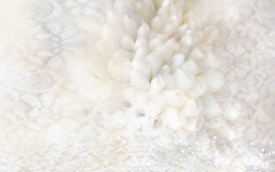 [wallcoo_com]_CG_Widescreen_Flowers_1920_HS077_350Aa