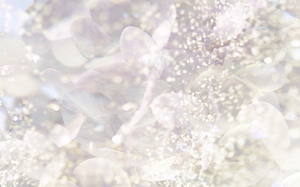 [wallcoo_com]_CG_Widescreen_Flowers_1920_HS078_350Aa