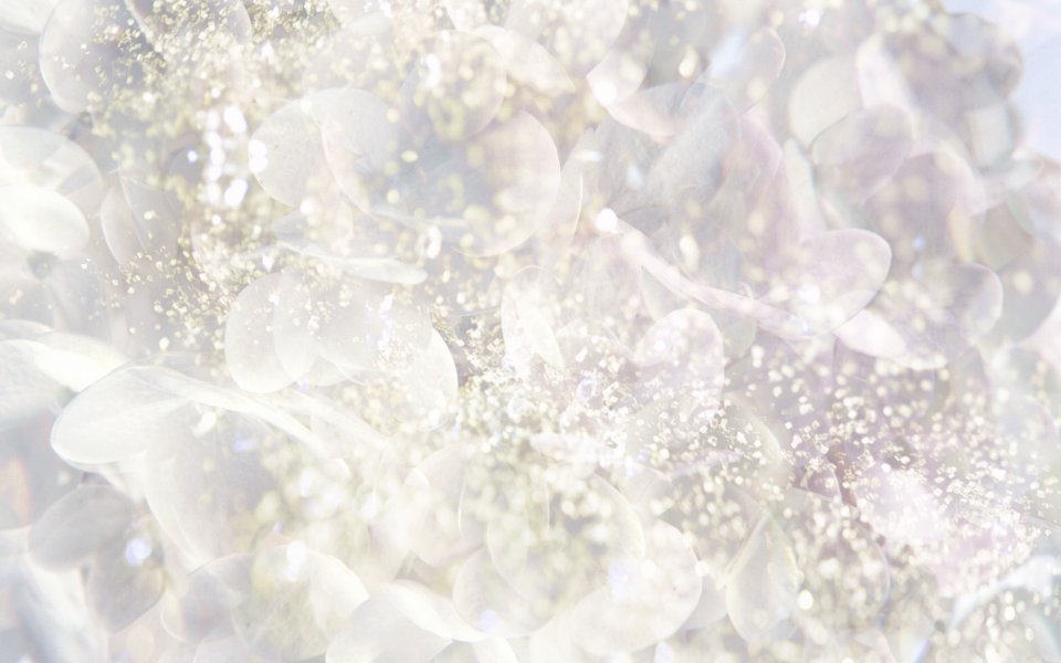 [wallcoo_com]_CG_Widescreen_Flowers_1920_HS078_350Aaa
