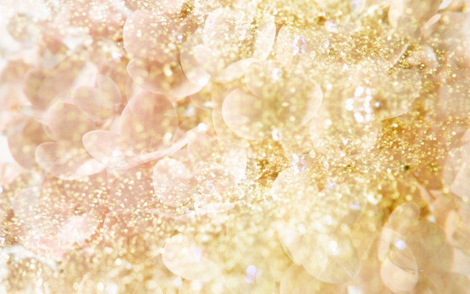 [wallcoo_com]_CG_Widescreen_Flowers_1920_HS079_350Aa