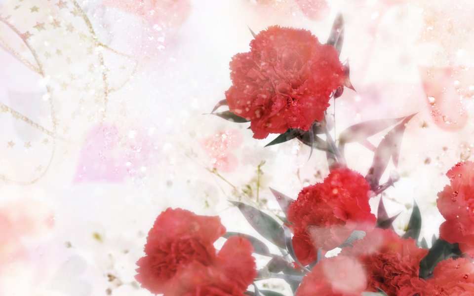 [wallcoo_com]_CG_Widescreen_Flowers_1920_HS083_350Aaa
