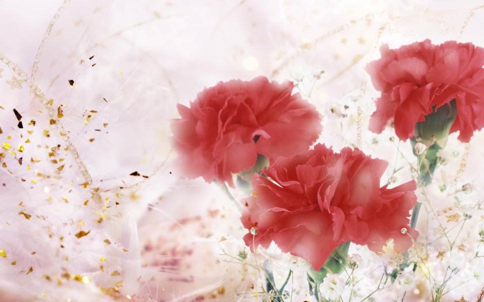 [[wallcoo_com]_CG_Widescreen_Flowers_1920_HS084_350aA