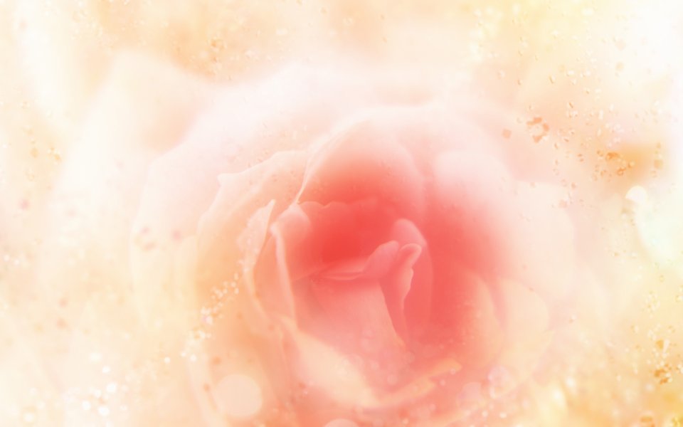 [wallcoo_com]_CG_Widescreen_Flowers_1920_HS087_350Aa