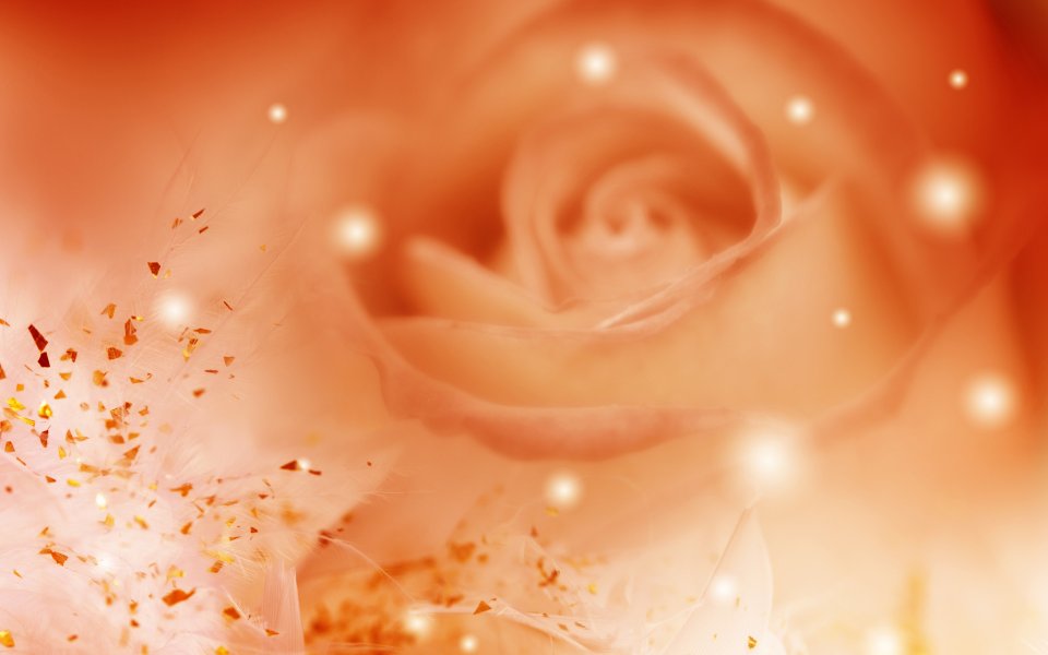 [[wallcoo_com]_CG_Widescreen_Flowers_1920_HS088_350Aa