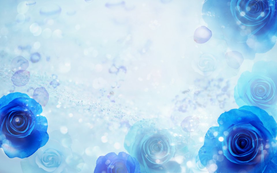 [[wallcoo_com]_CG_Widescreen_Flowers_1920_HS093_350Aa
