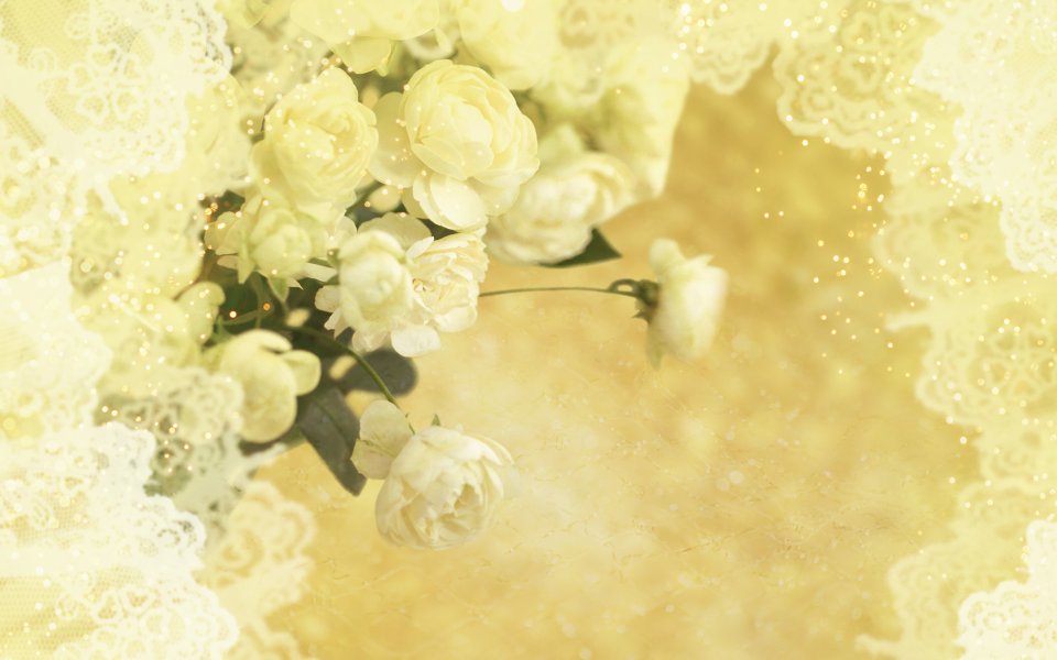 [wallcoo_com]_CG_Widescreen_Flowers_1920_HS096_350Aa