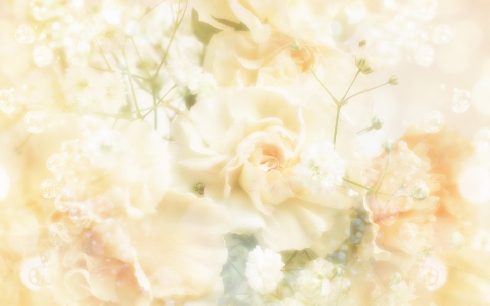 [wallcoo_com]_CG_Widescreen_Flowers_1920_HS097_350Aaa