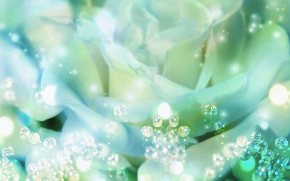 [wallcoo_com]_CG_Widescreen_Flowers_1920_HS098_350A